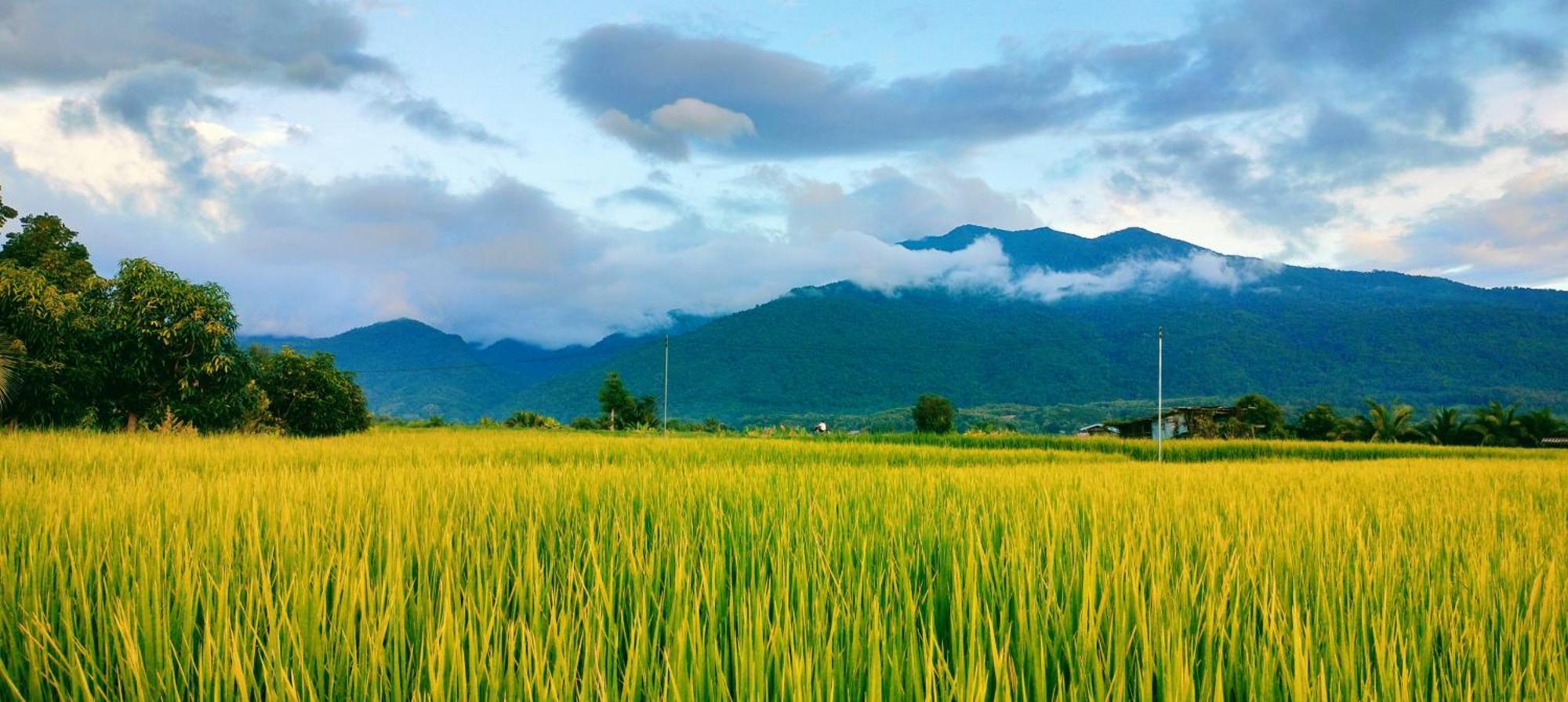 Poonsap Homestay Nan Exterior foto