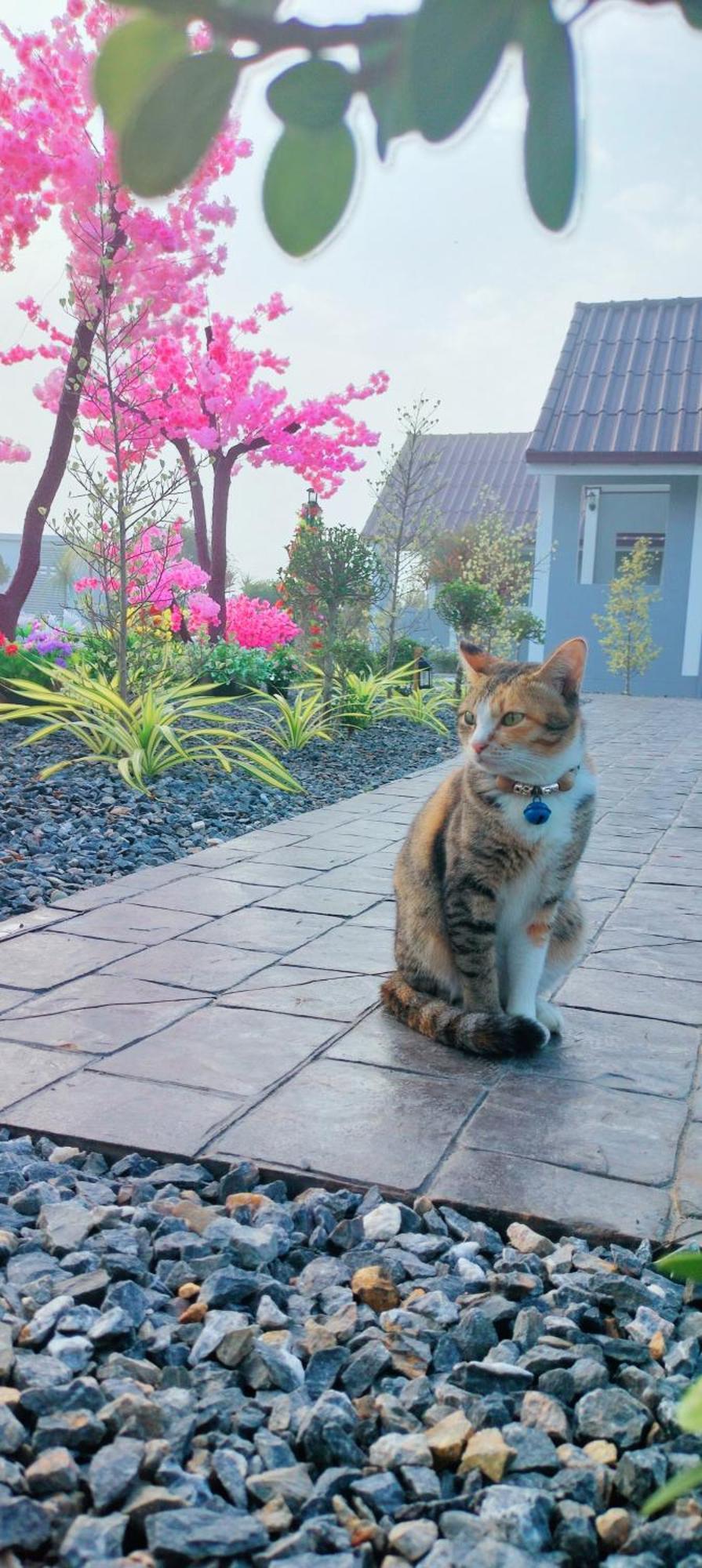 Poonsap Homestay Nan Exterior foto
